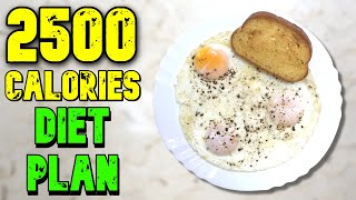 2500 Calorie Meal Plan [upl. by Sasnak]