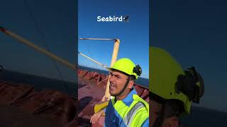 Seabird in samundar video viral🇳🇪🇳🇪 trending [upl. by Anahsirk]