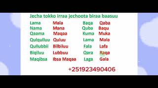 Afaan Oromoo Jecha tokko irraa jechoota biraa baasuu study Afaan OromooAmharic English letters [upl. by Brandyn287]