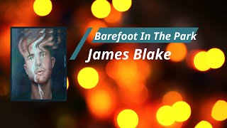 James Blake  Barefoot In The Park Lyrics [upl. by Aileduab]