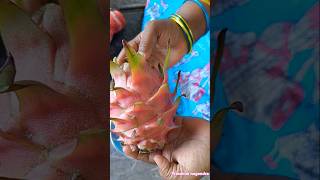 Dragon fruit youtubeshorts prasannanagendra [upl. by Drake]