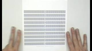 Calibration of a Lenticular lens sheet with Home Illusion [upl. by Essilec646]