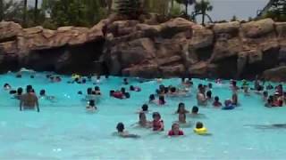 Aquatica Wave Pool 2018 Sea World Orlando [upl. by Nomolos621]