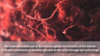 Effective brain cancer treatment  filmwedstrijd NWO Bessensap 2013 [upl. by Tzong]