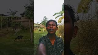 Video of Bhalo Lage like comment subscribe karo [upl. by Anne-Corinne]