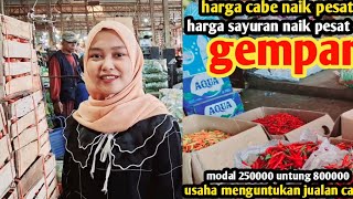 harga cabe naik hari inisayuran gmpar semuausaha untung banyak jualan cabe3 des 2024 [upl. by Lalage]