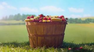 Chobani Satisfaction Contraption  Adfilms TV Commercial TV Advertisments [upl. by Ellennahs]