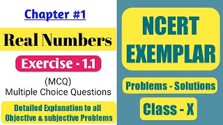 Chapter 1 Real Numbers Exercise 11 solutions  NCERT Exemplar class 10 Maths [upl. by Howell]