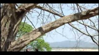 Kachin song  Hkun hkraw mat sai [upl. by Shirley58]