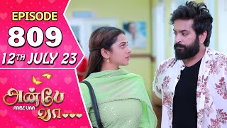 Anbe Vaa Serial  Episode 809  12th July 2023  Virat  Delna Davis  Saregama TV Shows Tamil [upl. by Vivyanne]