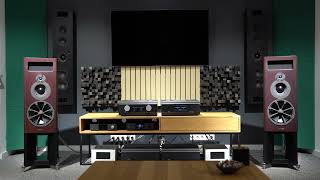 PMC MB2 DELUXE  Musical Fidelity NuVista PAS  NuVista Pre [upl. by Ykceb]