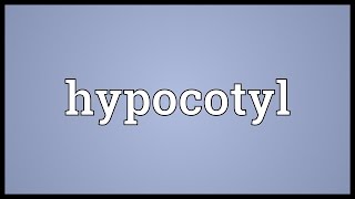 Hypocotyl Meaning [upl. by Allebram588]