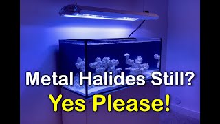 Red Sea Reefer G2 Reef Tank Build  Metal Halide Lighting and How to Hang from Ceiling [upl. by Lashoh]