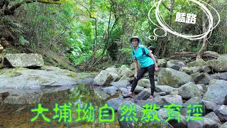 【大埔滘自然教育徑】【松仔園】【四色林徑】紅徑藍徑啡徑黃徑 [upl. by Thistle]