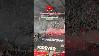 Forever Hersch🪦❤️ Werder Bremen Fans mit Botschaft 👊 mainz05 werderbremen werder rip pyro [upl. by Knitter]