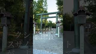 櫛田神社に行ってきました⛩️☺️神社参拝 神社 [upl. by Tenaj]