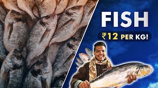 Hyderabad’s Biggest Fish🐟 Market Very Cheap Rate’s On FishPrawn🍤ampCrabs🦀Musheerabad Fish Market [upl. by Serles]