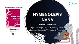 Hymenolepis nana Dwarf Tapeworm Parasitology simplified tutorials For NEETPG NEXT USMLE PLAB [upl. by Nodnarbal]