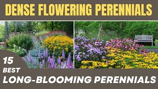 15 BEST Longest Blooming Perennials  NonStop Flowering Perennials For Low Maintenance Landscaping [upl. by Borek]