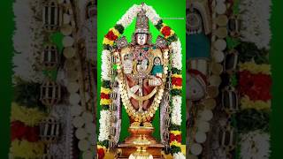 Sri Venkateswara Suprabhatam Kausalya Suprajarama songwhatsappstatussaturday shorts venkateswara [upl. by Notxarb685]