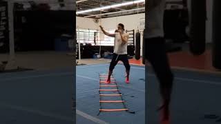 Boxing and MMA Footwork Drill With SAQ Ladder  Full Round [upl. by Suivatco]