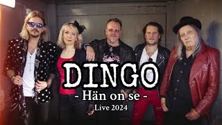 Dingo  Hän on se  Live  Wanaja Festival Hämeenlinna 2024 Nimeni on Dingo 40v [upl. by Harragan]