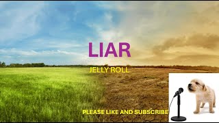 LIAR BY JELLY ROLL LYRICS [upl. by Ailalue]