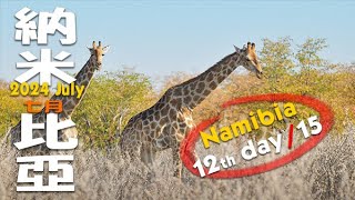 Namibia 納米比亞 1215 謹防中伏 奧考奎豪華水坑房 每晚每房 600 美元 2人一房 [upl. by Kyte]