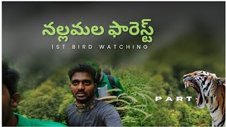 NALLAMALA FOREST  నల్లమల అడవులు పదండి చూసి వద్ధం part 2  teluguphotographyvlogs viewfindersnap [upl. by Lennox]