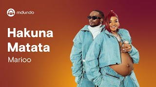 Marioo  Hakuna Matata Official lyrics video [upl. by Weinrich]