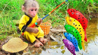 Bin Bon duck Monkey Baby Kittens Puppy Goes Koi Cat And swims Rabbits Animals Eats Egg Muckbang Asmr [upl. by Edyaj]