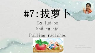 7 Chinese short story  拔萝卜 Nhổ củ cải  Pulling radishes [upl. by Yevoc721]