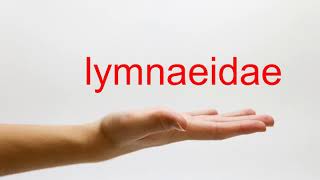 How to Pronounce lymnaeidae  American English [upl. by Solana]