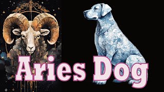 Aries Dog Discussion [upl. by Gerrilee699]