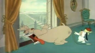 Tex Avery Funniest Moments 20 [upl. by Rosecan]