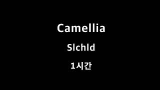 Camellia Slchld 1시간 1hour [upl. by Alysa893]