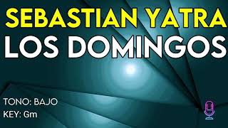 Sebastian Yatra  Los Domingos  Karaoke Instrumental  Bajo [upl. by Enoed]