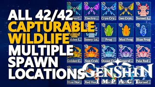 All Capturable OmniUbiquity Net Creatures Genshin Impact Archive Wildlife [upl. by Iahs]