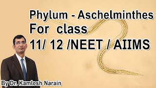 Phylum  Aschelminthes  Nemathelminthes  Nematoda class 11 12 NEET  AIIMS By DR KAMLESH NARAIN [upl. by Mur]