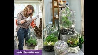 CLOSED TERRARIUM DIY  SEALED BOTTLE GARDENS 🌱 Closed Terrarium Plants 🌿Shirley Bovshow [upl. by Agnimod839]