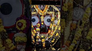 💕Jagannath status video💕 Jagannath short video⭕❗⭕ Jagannath WhatsApp status 🙏🙏🙏 [upl. by Quarta935]