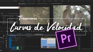 🎬 Transiciones en premiere – Curvas de Velocidad 🎥 [upl. by Hube]