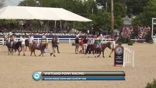 WIHS Shetland Pony Steeplechase at the Devon Horse Show May 26 2014 [upl. by Neelrak]