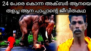 24 പേരെ കൊന്ന അക്ബറിനെ മുട്ടികുത്തിച്ച വിജയൻ പിള്ള  Pathumma akbar elephant  Vijayan pillai pappan [upl. by Dolly]