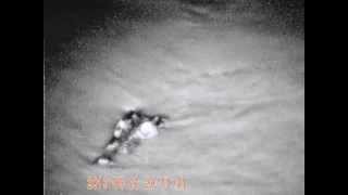 Close call  Night vision footage of crocodile [upl. by Hance941]