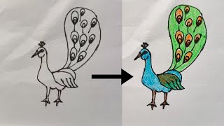 peacock drawing how to draw a peacock [upl. by Patrizia267]