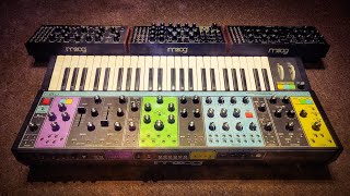 Finally  A Moog Video [upl. by Faludi]