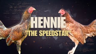 HENNIE GAMEFOWL BLOODLINE Fighting Style and History [upl. by Durarte]