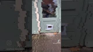 Cat Flap Installation Speed Glass amp Glazing httpsspeedglazingcouk glazing [upl. by Patience]