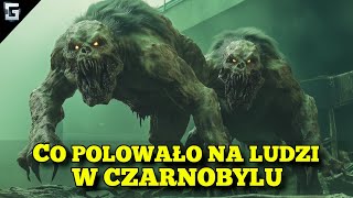 Co Polowało na Ludzi w Czarnobylu [upl. by Malva]